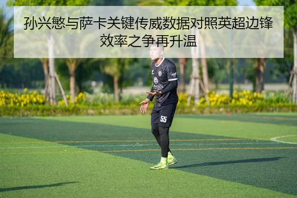 sun-xing-min-yu-sa-ka-guan-jian-chuan-wei-shu-ju-dui-zhao-ying-chao-bian-feng-xiao-lv-zhi-zheng-zai-sheng-wen-2-715.jpg