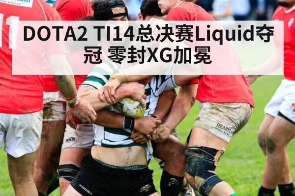 DOTA2 TI14总决赛Liquid夺冠 零封XG加冕